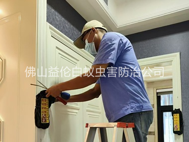 高明住宅白蚁防治工程